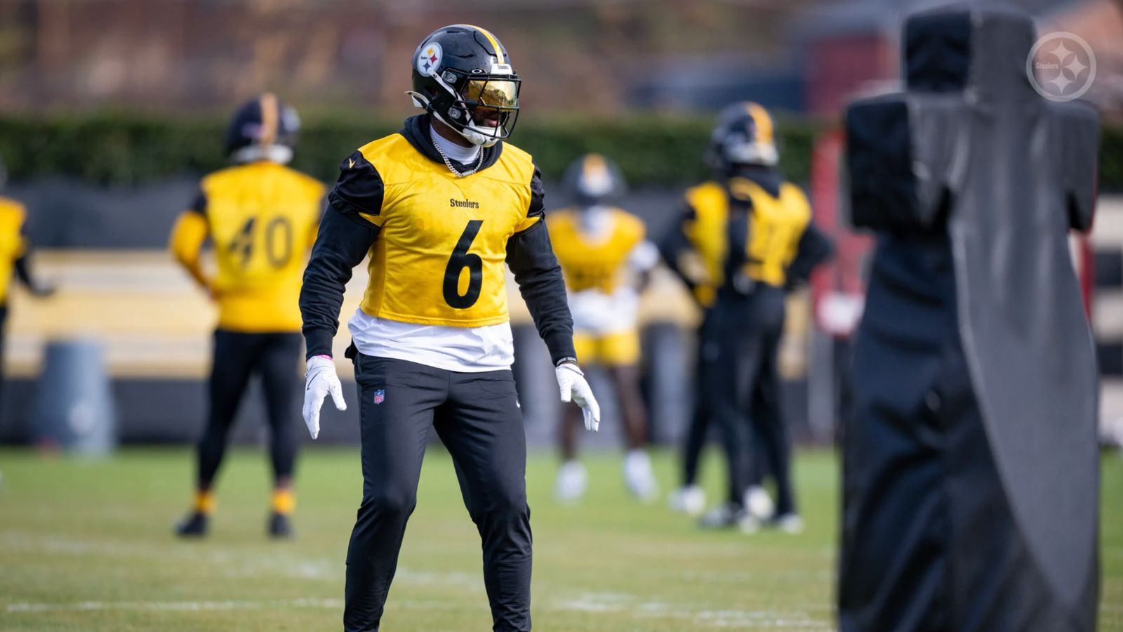 Hate Between Steelers And Ravens Is On Full Display Ahead Of Week 14 Clash: "The Traitor" (Steelers News). Photo by Karl Roser / Pittsburgh Steelers