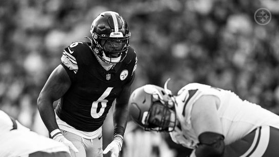 Steelers Fans Finally Get A Great Message About The Defense Heading Into Week 5 (Steelers News)