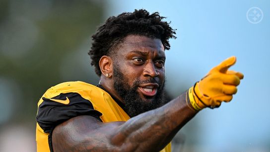Steelers' Patrick Queen Steelers' Patrick Queen