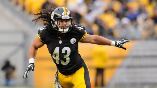 Steelers' Troy Polamalu