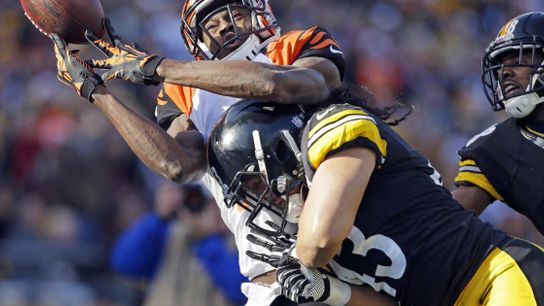 Steelers Troy Polamalu