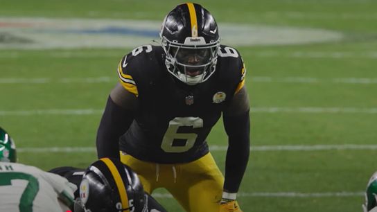 Steelers Already Being Seriously Urged To Explore A Replacement For Patrick Queen (Steelers News)