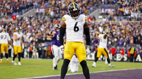 Steelers' First Big Camp Fight Erupts As Payton Wilson Defends Patrick Queen (Steelers News)