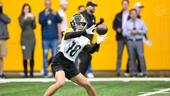 Steelers' Roman Wilson Steelers' Roman Wilson