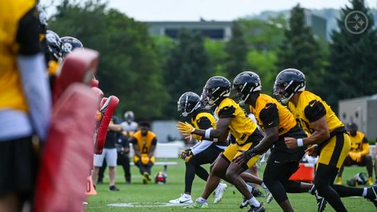 Pittsburgh Steelers defense Pittsburgh Steelers defense