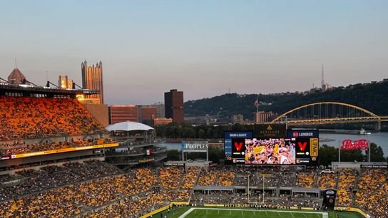 Steelers' Elandon Roberts Named His Favorite Hostile Environments To Play; Half The AFC North Is Missing Out (Steelers News)