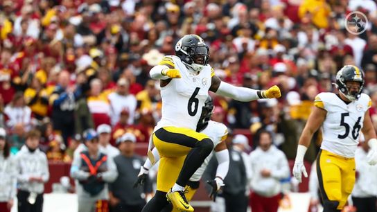 Steelers' "X-Factor" LB Patrick Queen Likely Holds The Key To Stopping Ravens' Lamar Jackson In Week 11 (Steelers News)