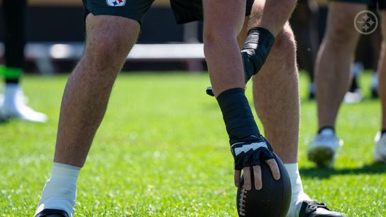 Steelers Have Secret Weapon On Their Roster Who Could Steal Snaps From Starters. Photo by Taylor Ollason / Pittsburgh Steelers