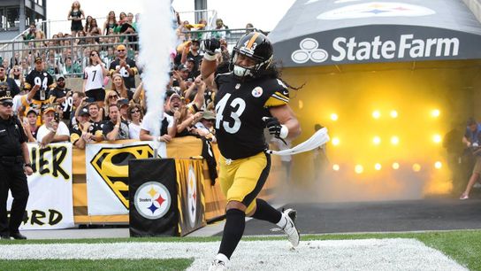  Steelers History: Bengals Great Carson Palmer Tells The Story Of His First Encounter With Troy Polamalu In The NFL  (Troy Polamalu)