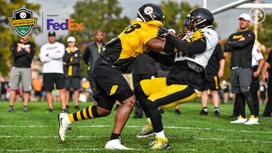 Pittsburgh steelers vince williams Pittsburgh steelers vince williams