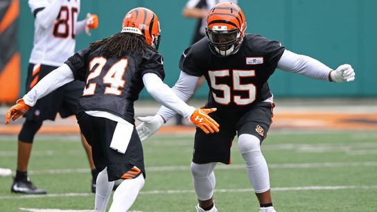 Steelers arch nemesis Vontaze Burfict Steelers arch nemesis Vontaze Burfict