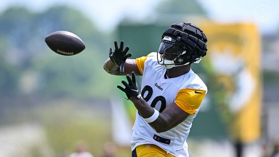 Steelers' Darnell Washington Steelers' Darnell Washington