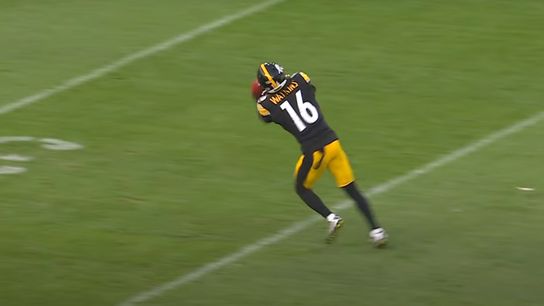Steelers' Quez Watkins Steelers' Quez Watkins