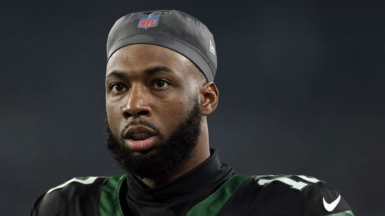Steelers' Mike Tomlin Isn't Certain New Wide Receiver Mike Williams Is A Good Fit (Steelers News)