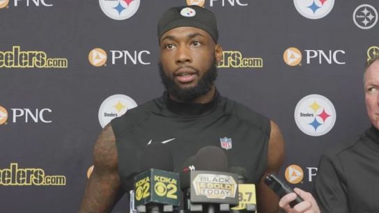 Steelers Revealing Their Plans With New Wide Receiver Mike Williams (Steelers News)