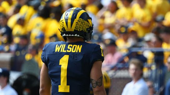 Steelers' Roman Wilson Steelers' Roman Wilson