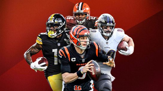 The AFC North division is a tough, intense division in the NFL. The AFC North division is a tough, intense division in the NFL.