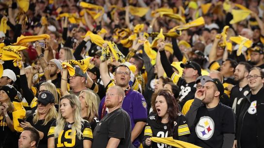 Steelers fans celebrating during a game Steelers fans celebrating during a game