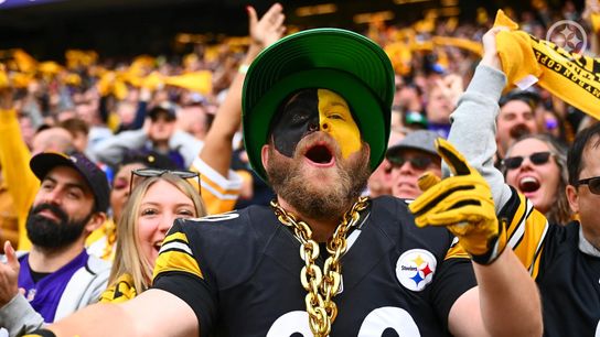 How Football Slots Dominate Online Casinos For Steelers Fans. Photo by Shauna Clinton / Pittsburgh Steelers